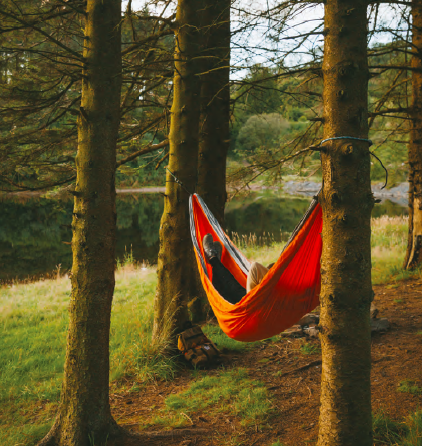 Image of a hammock in the woods by Beth Squire